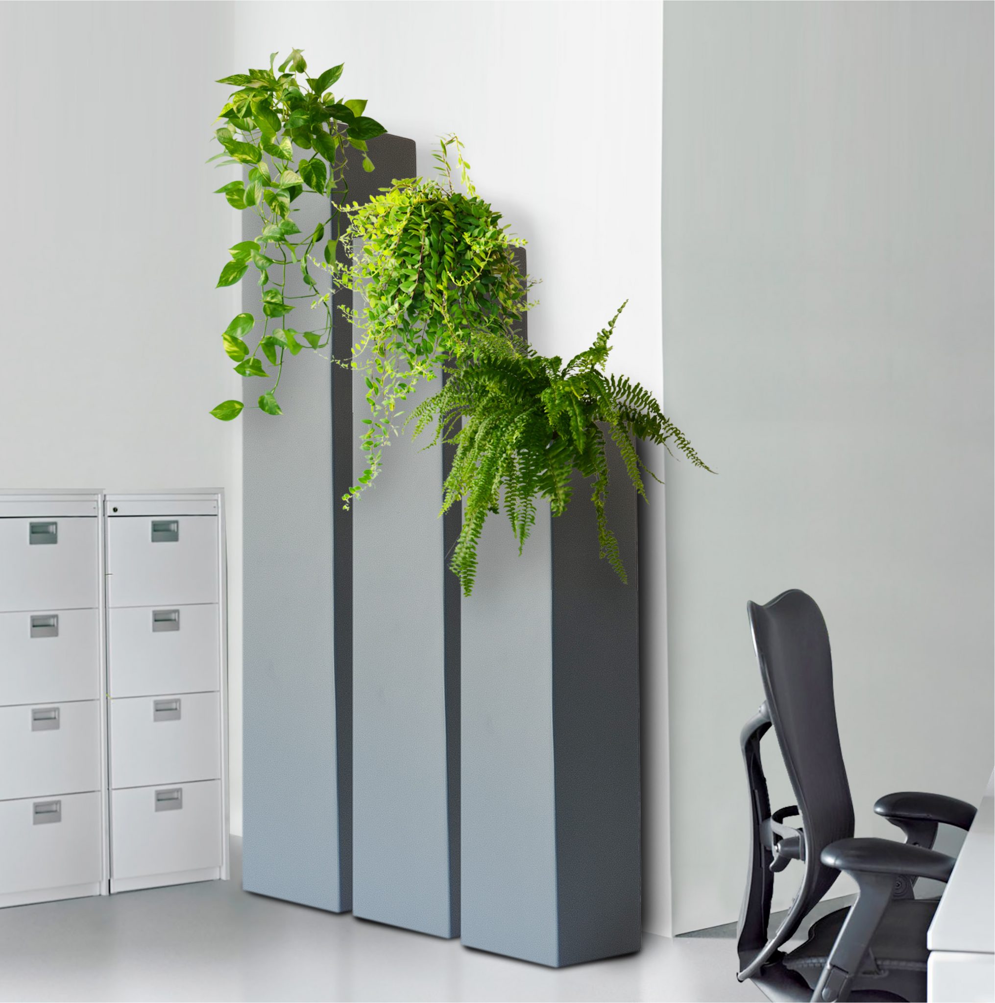 Indoor Plant 004/005/006 Pot 019/018/017 Supplier Malaysia Indoor