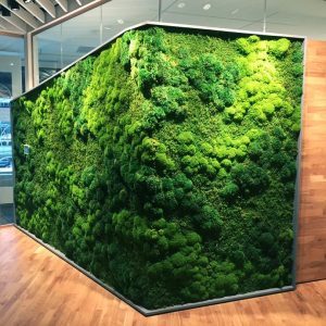 moss-vertical-1